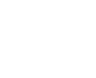 AAU OPEN logo