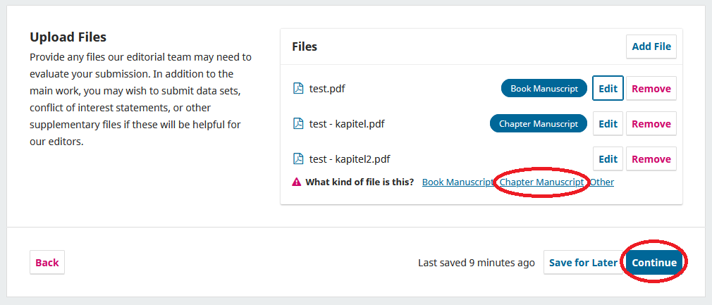 Screenshot showing the specification of file type.