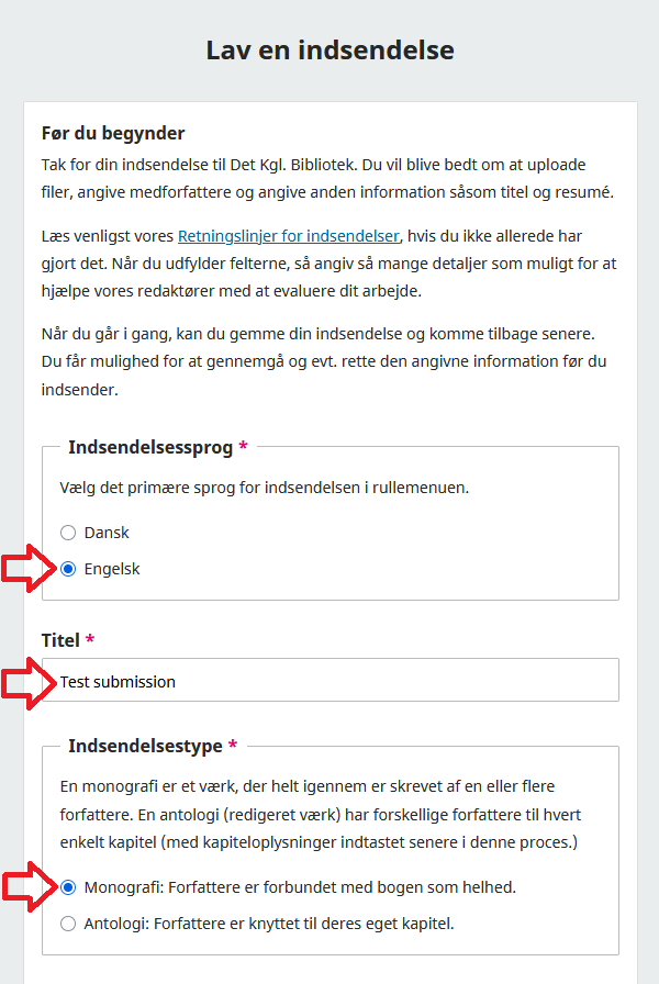 Skærmbillede der viser oprettelsen af en ny indsendelse.